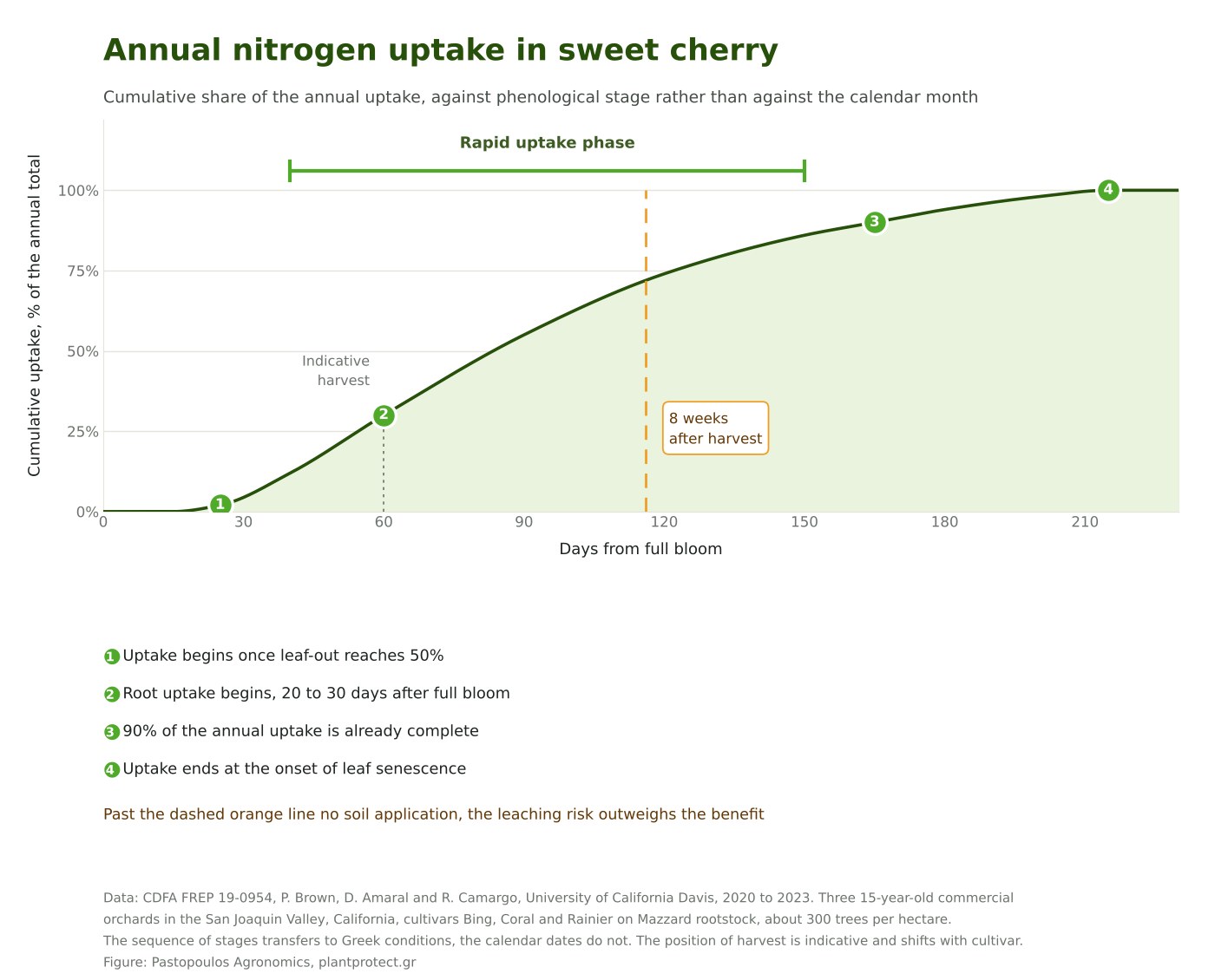 The nitrogen cycle in sweet cherry