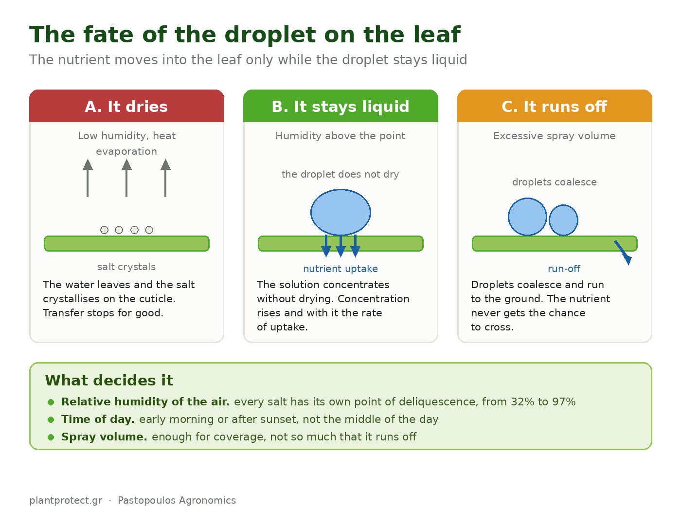 Foliar sprays: the time of day, the reactions in the tank and the mixing order