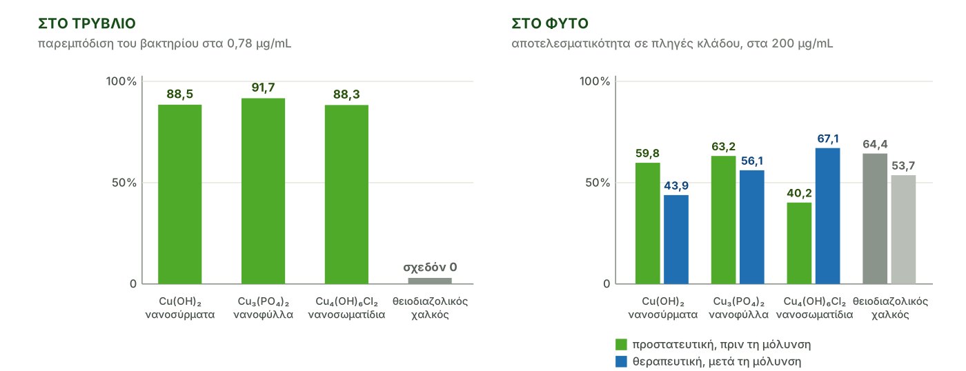 Σύγκριση της δράσης των νανοσωματιδίων χαλκού στο τρυβλίο και πάνω στο φυτό